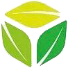 SH Blue Water Group Logo